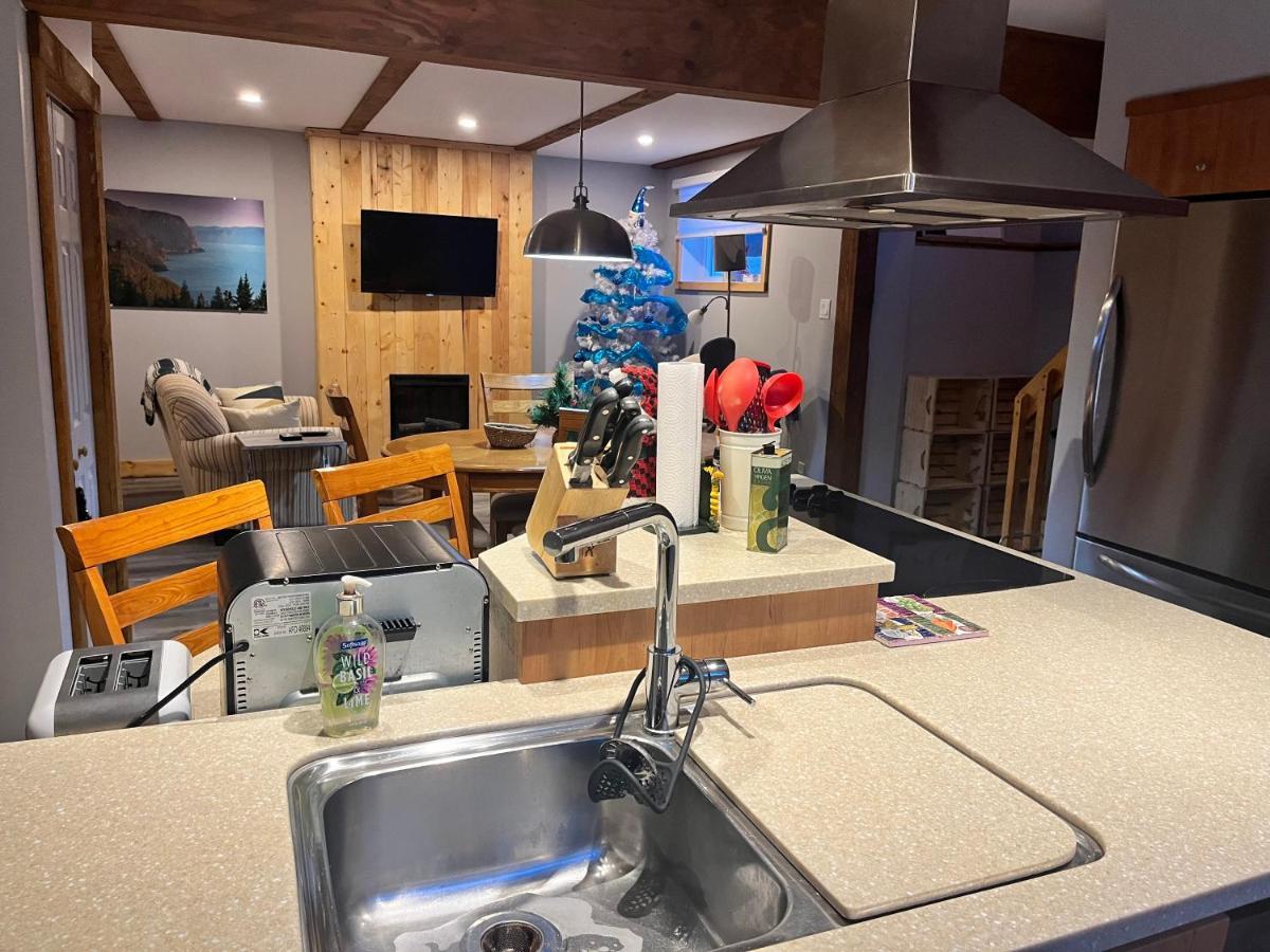 Appartement Mont Edouard, Hebergement Paisible A La Montagne LʼAnse-Saint-Jean 외부 사진